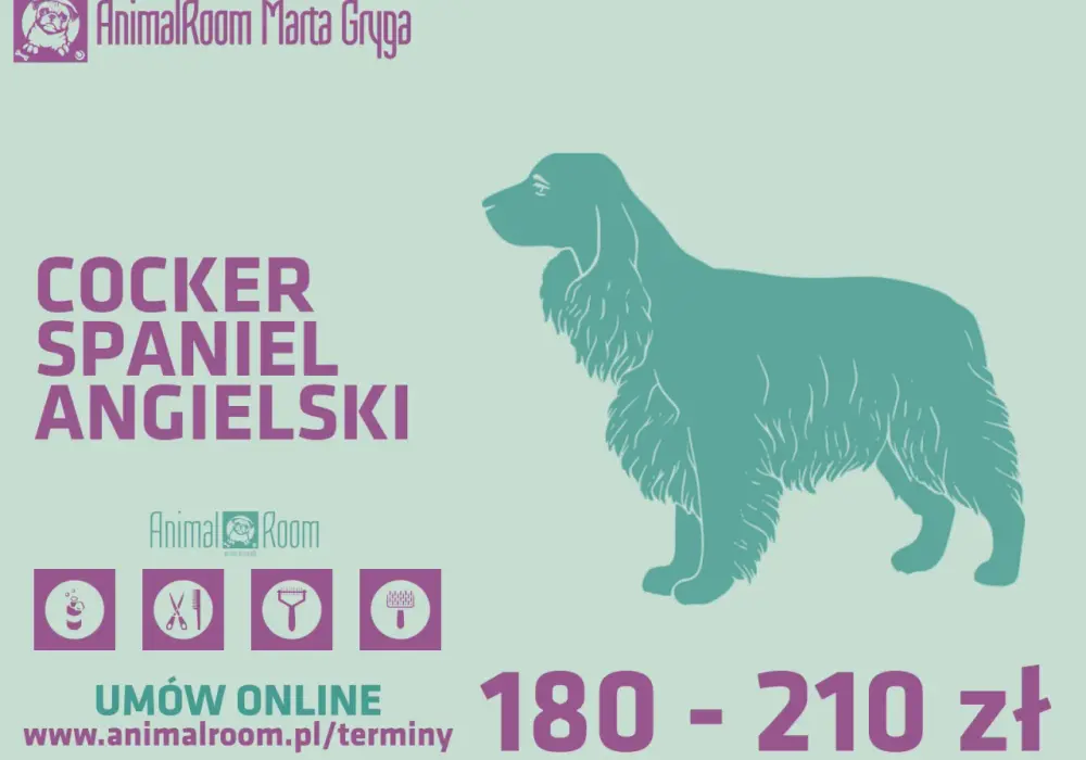 Strzyżenie Cocker Spaniela: Poradnik DIY i Wizyta u Groomera