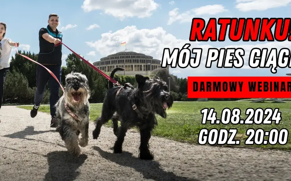 Pies ciągnie na smyczy? Skuteczne metody, których nie znasz