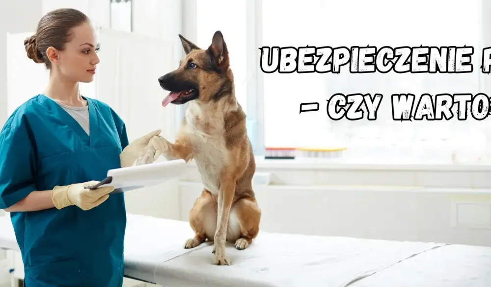 Ubezpieczenie zdrowotne psa: co obejmuje, czy się opłaca?