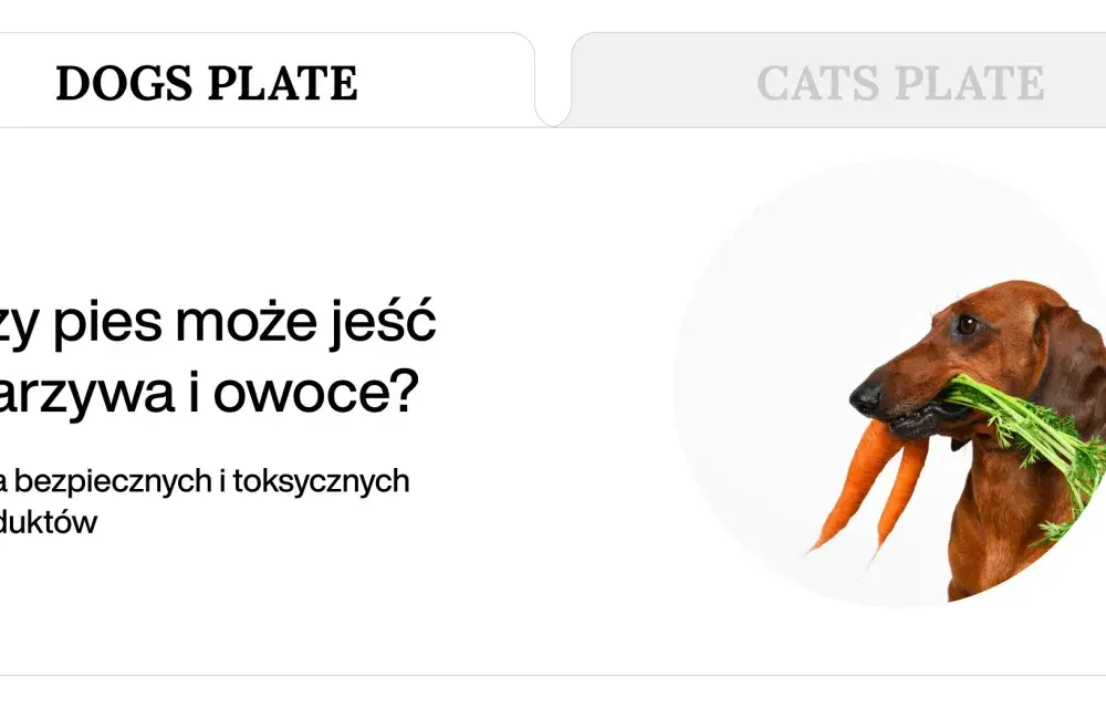 Owoce i warzywa dla psa: Wiesz, co jest bezpieczne, a co toksyczne?