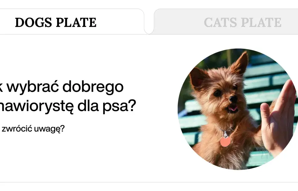 Behawiorysta dla psa z agresją: Jak wybrać eksperta, nie amatora?