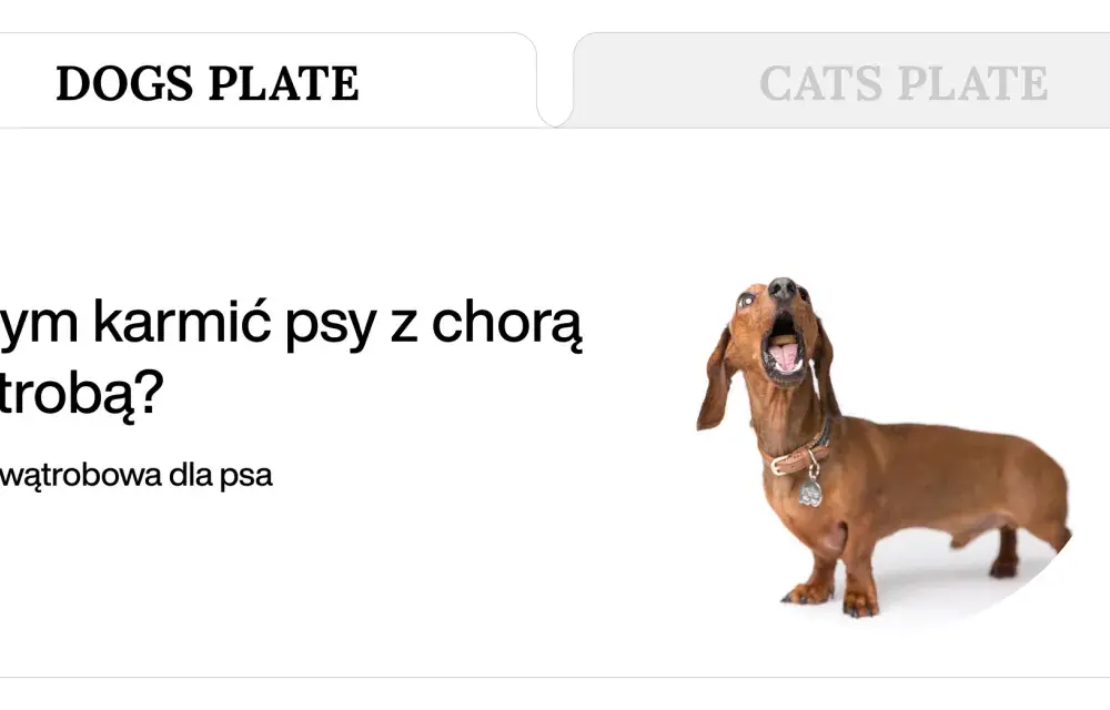 Dieta wątrobowa dla psa: Jak gotować, by pomóc wątrobie?