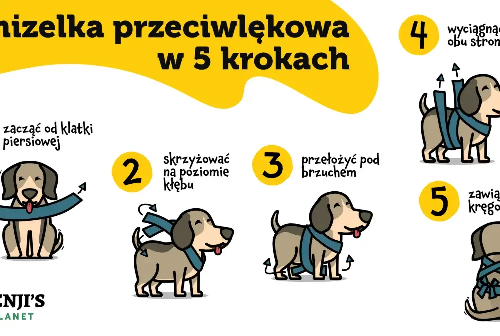 Lęk psa przed burzą i fajerwerkami: Skuteczne metody BEZ LEKÓW