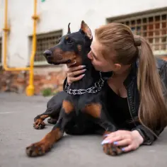 Doberman i młoda kobieta okazują sobie czułość. Pies leży na ziemi, a kobieta całuje go w policzek.