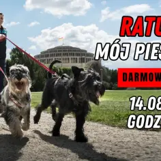 Para biegnie z psami, które ciągną na smyczy. Nic nie pomaga! Darmowy webinar "Ratunku! Mój pies ciągnie!" 14.08.2024, 20:00.