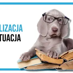 Socjalizacja szczeniaka: Kiedy zacząć? Szczepienia a pierwsze spotkania.