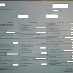 Jak uzyskać rodowód dla psa - proste kroki i ważne informacje