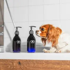 Uroczy piesek Cavalier King Charles Spaniel ciekawie węszy przy butelkach z odżywką dla psa długowłosego.