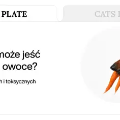 Owoce i warzywa dla psa: Wiesz, co jest bezpieczne, a co toksyczne?