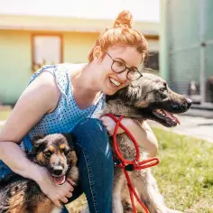 Uśmiechnięta wolontariuszka tuli dwa psy w schronisku. Szukają domów, to **setery do adopcji**.
