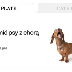 Dieta wątrobowa dla psa: Jak gotować, by pomóc wątrobie?