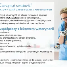 Lekarz weterynarii, jak każdy doktor, zasługuje na szacunek. Na zdjęciu weterynarz z psem.