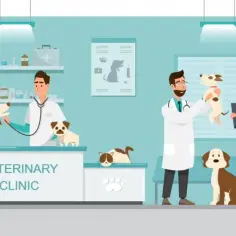 Czy weterynarz to doktor? Odkryj prawdę o tytułach i kwalifikacjach