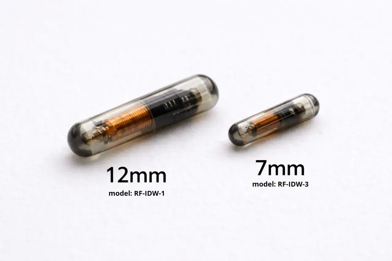 Dwa implanty dla zwierząt: 12mm i 7mm. Ułatwiają one zmianę właściciela psa z chipem, zapewniając identyfikację.