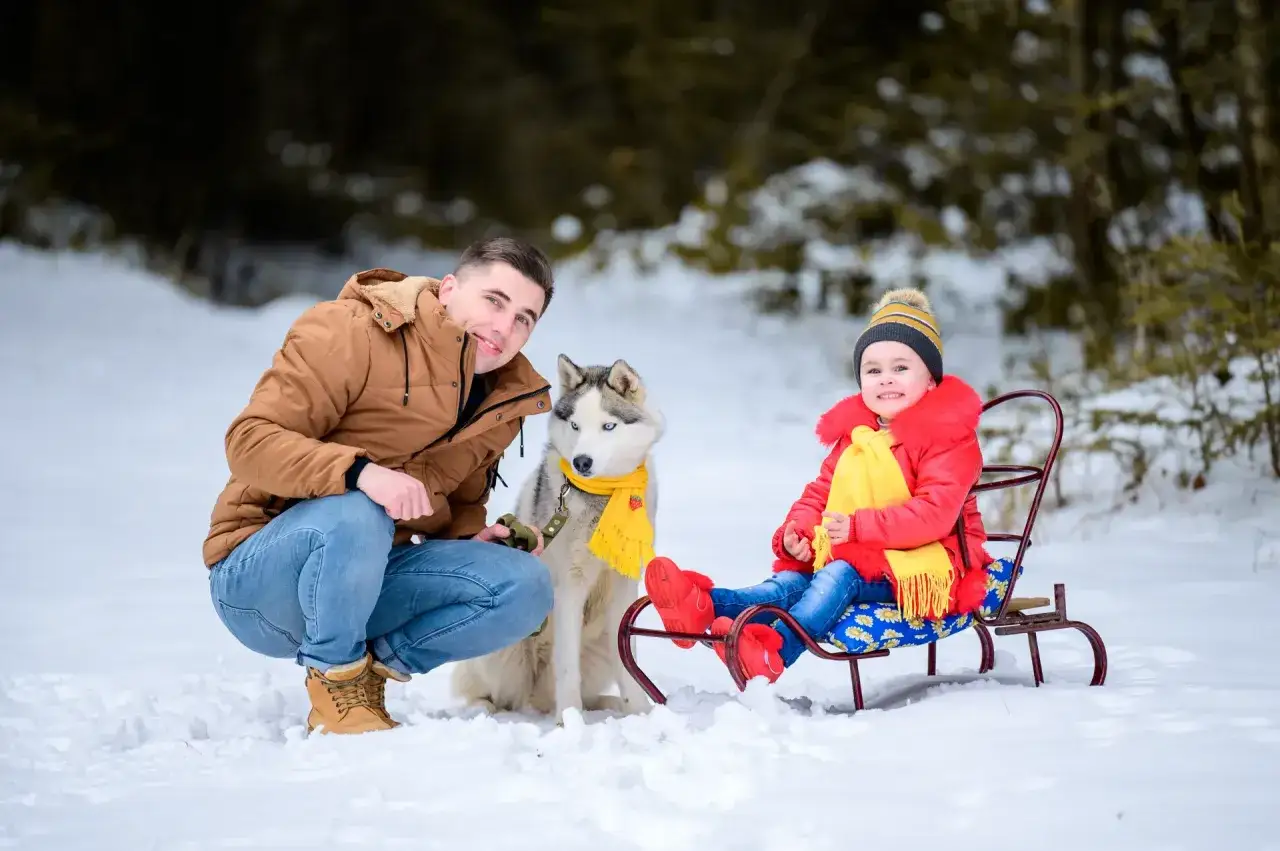 Ojciec z dzieckiem i husky w śniegu. Dziecko siedzi na sankach, a piesek czeka na przejażdżkę.