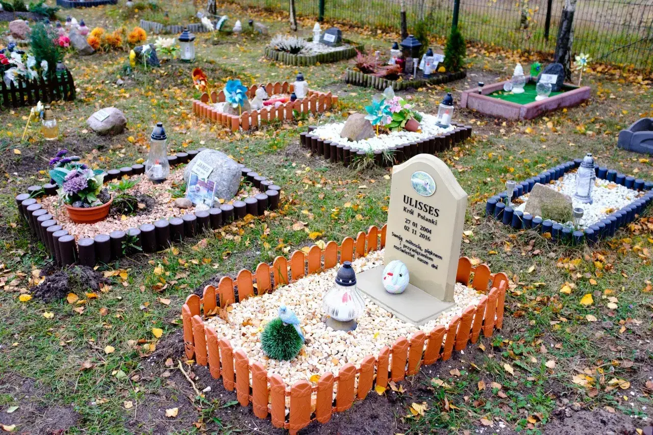 Cmentarz dla zwierząt, gdzie pamięć o ukochanym psie, jak głęboko zakopać martwego psa, jest pielęgnowana z miłością.