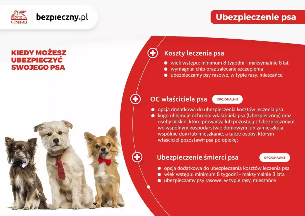 por&oacute;wnanie ofert ubezpieczeń dla psa
