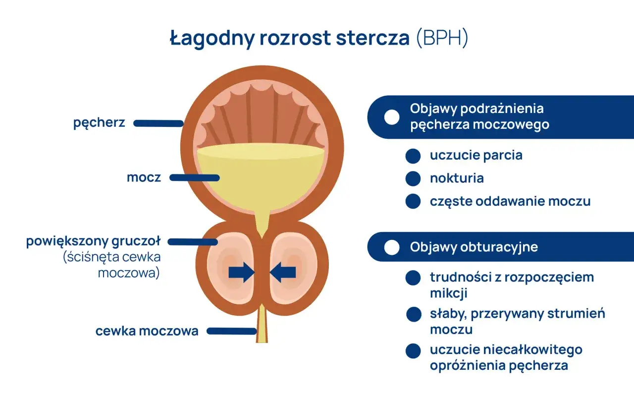 Objawy powiększonej prostaty u psa