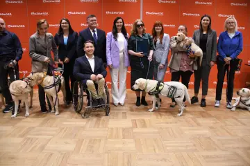 Grupa ludzi z psami asystującymi, jeden pies bez oka, w tym pies w wózku.