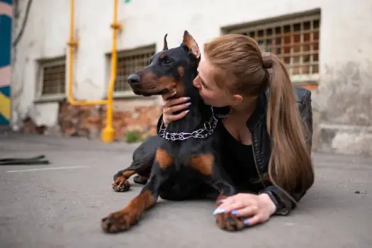 Doberman z dziećmi: Bezpieczny pies rodzinny? Fakty i porady