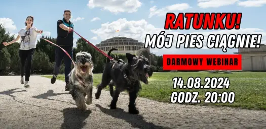 Pies ciągnie na smyczy? Skuteczne metody, których nie znasz