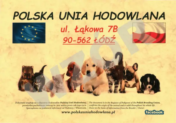 Polska Unia Hodowlana: Jak dołączyć i jakie korzyści?