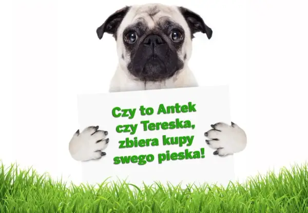 Wierszyki o pieskach: Rymowanki dla dzieci, klasyka i zabawa