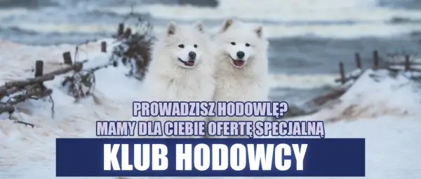Kluby hodowców: jak znaleźć wsparcie i wiedzę?