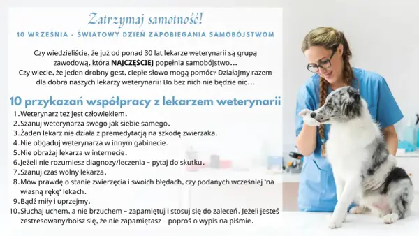 Lekarz weterynarii czy doktor? Wyjaśniamy wątpliwości i savoir-vivre