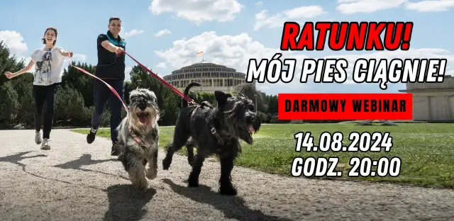 Para biegnie z psami, które ciągną na smyczy. Nic nie pomaga! Darmowy webinar "Ratunku! Mój pies ciągnie!" 14.08.2024, 20:00.